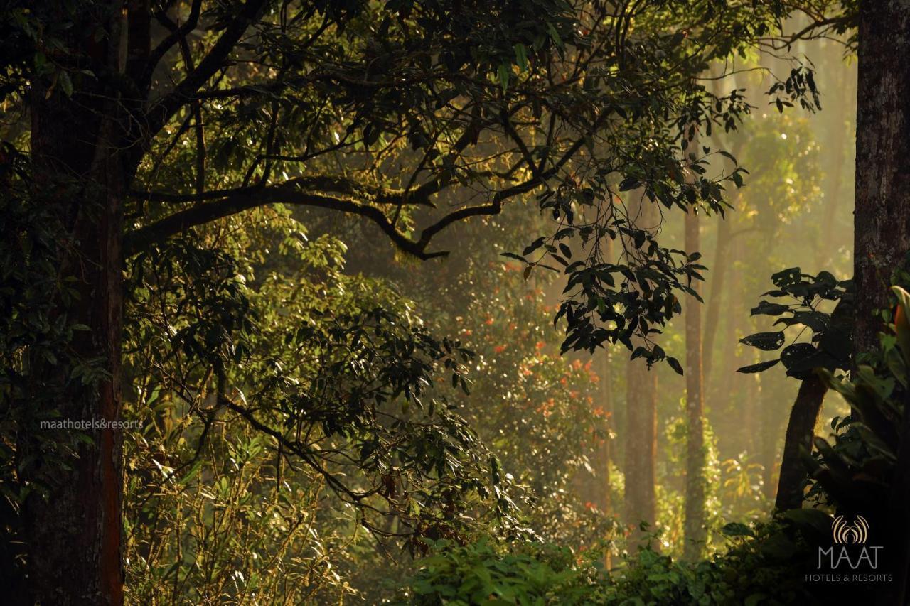 Dew Drops Farm Resorts Munnar Exterior photo