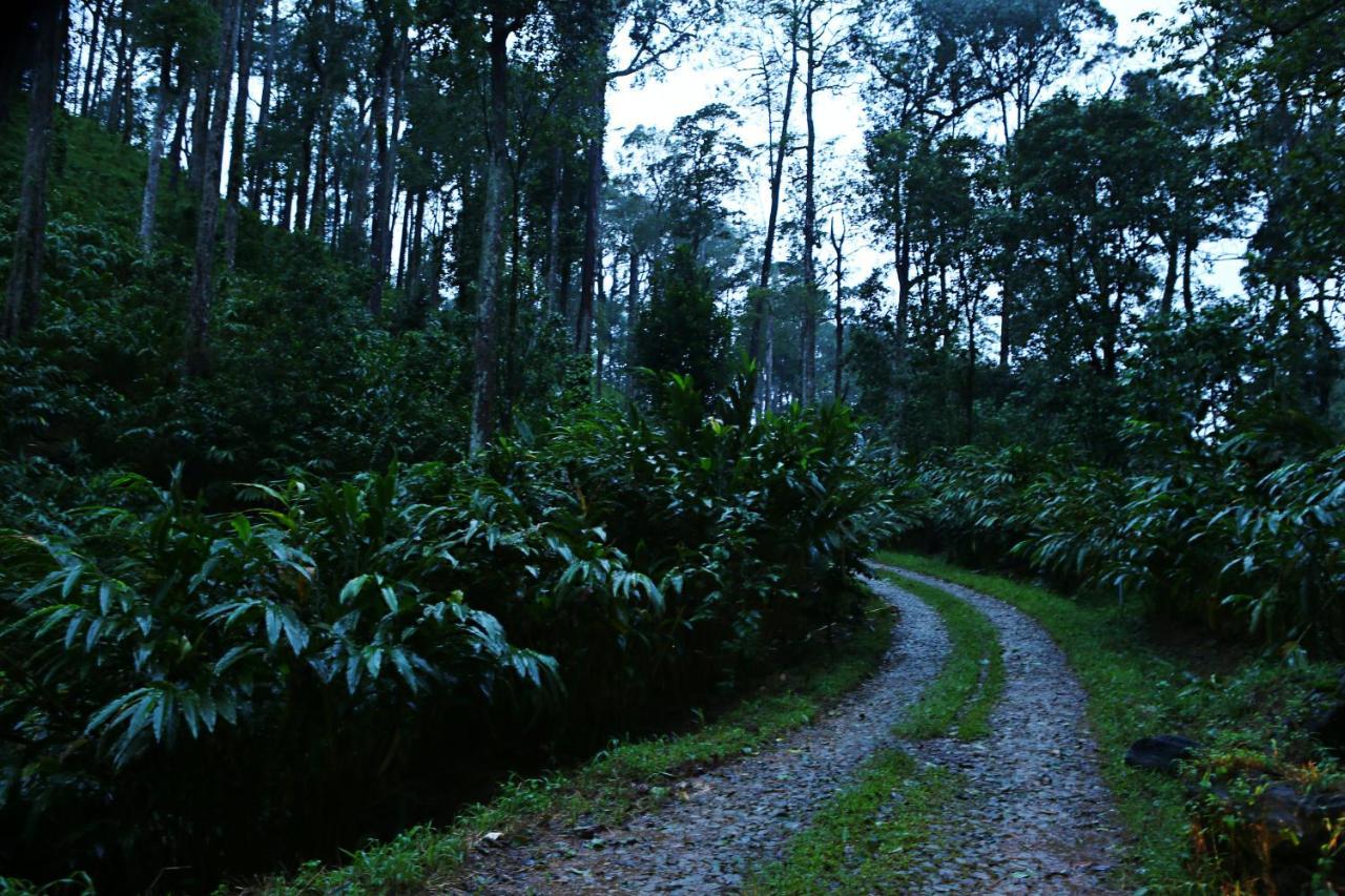 Dew Drops Farm Resorts Munnar Exterior photo