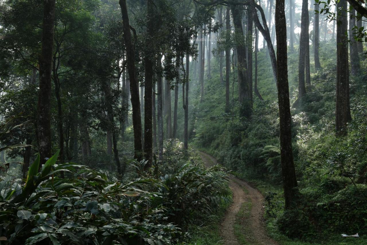 Dew Drops Farm Resorts Munnar Exterior photo